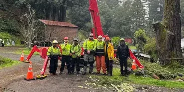 Lot Clearing in Sonoma County