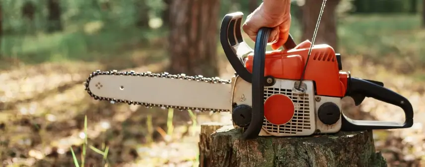 Empire Tree Experts