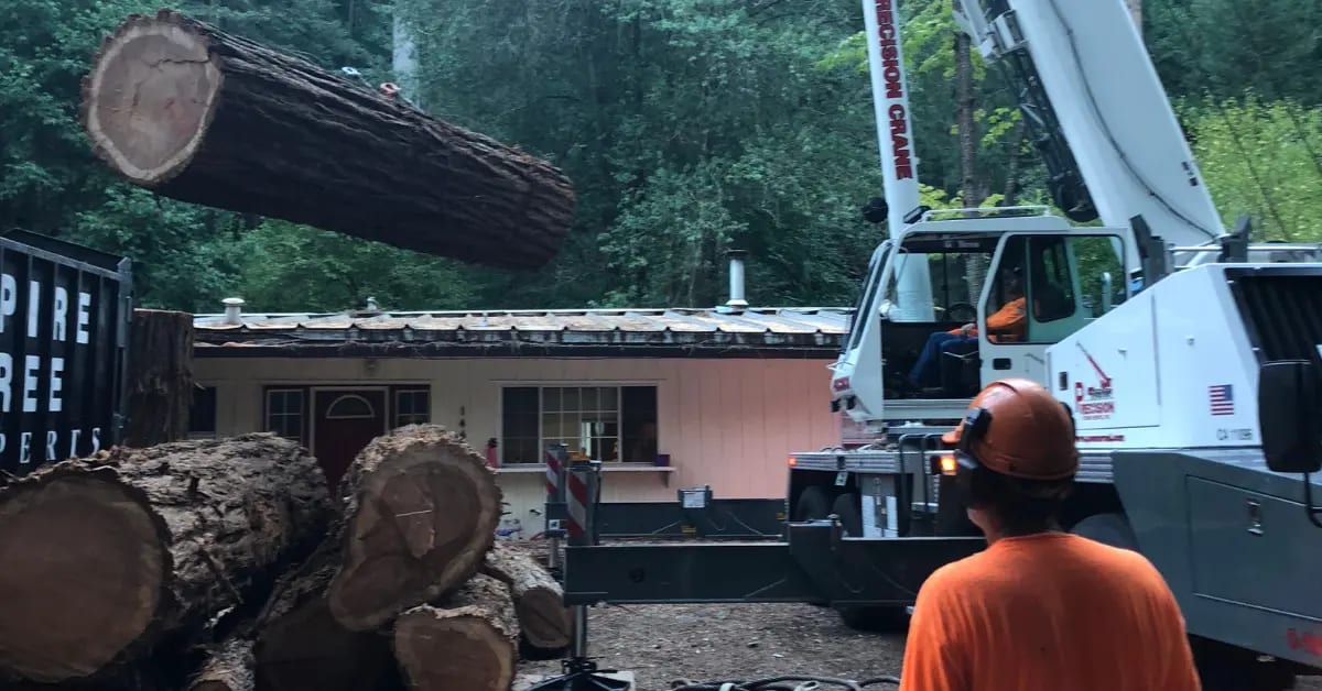 Fire Abatement